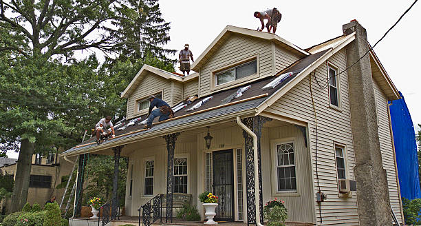 Best Roof Gutter Cleaning  in Delavan, IL